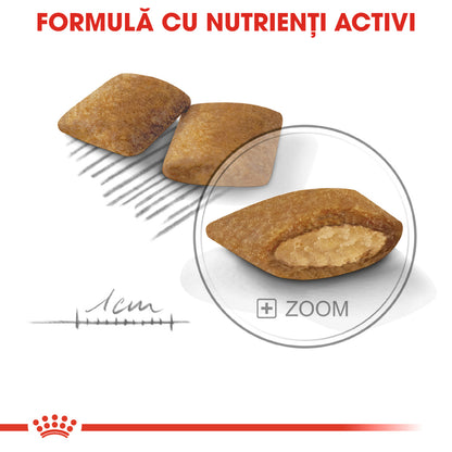 ROYAL CANIN CCN Mini Exigent