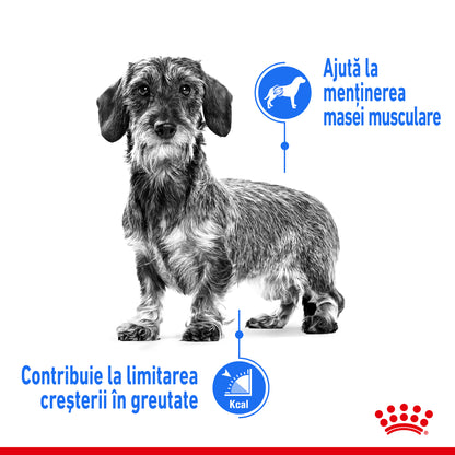 ROYAL CANIN CCN Mini Light Weight Care