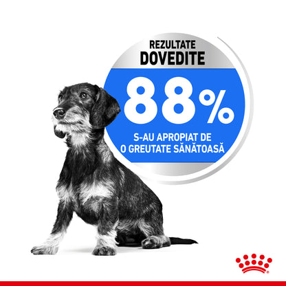 ROYAL CANIN CCN Mini Light Weight Care