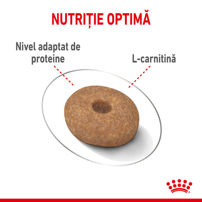 ROYAL CANIN CCN Mini Light Weight Care