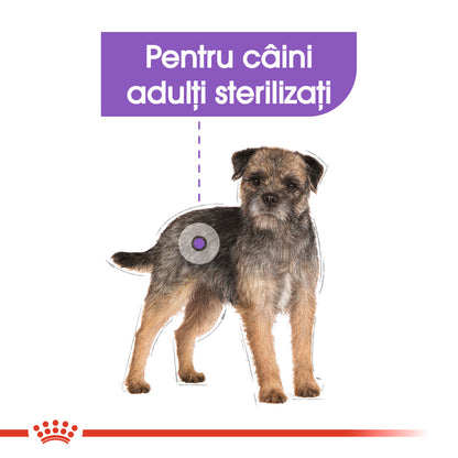 ROYAL CANIN CCN Mini Sterilised Adult