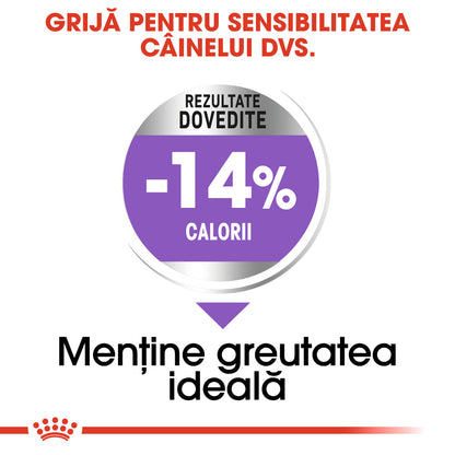 ROYAL CANIN CCN Mini Sterilised Adult