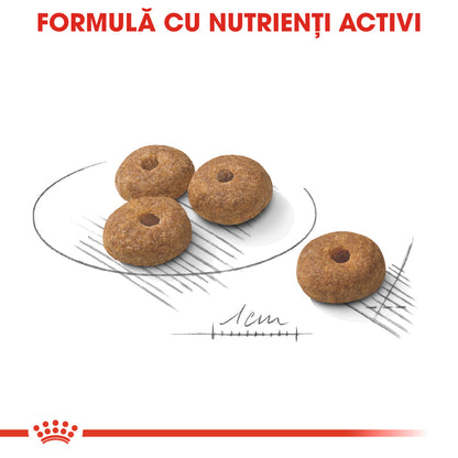 ROYAL CANIN CCN Mini Sterilised Adult
