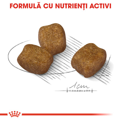 ROYAL CANIN CCN Mini Dental Care 1kg