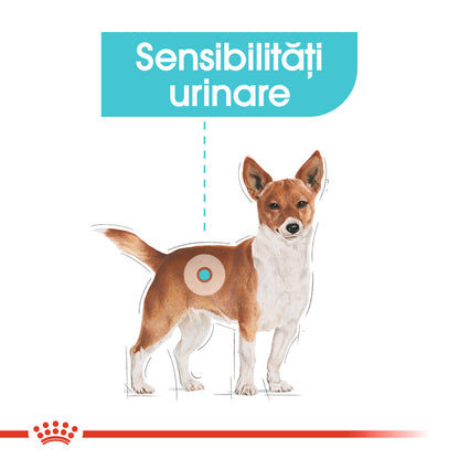 ROYAL CANIN CCN Mini Urinary Care