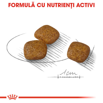 ROYAL CANIN CCN Mini Urinary Care