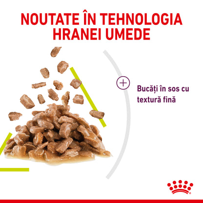 ROYAL CANIN FHN Sensory Smell în Sos Plic pentru pisici 85g