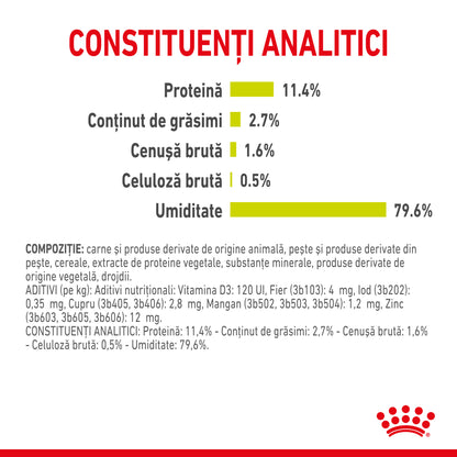 ROYAL CANIN FHN Sensory Smell în Sos Plic pentru pisici 85g