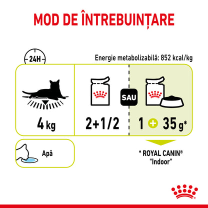 ROYAL CANIN FHN Sensory Smell în Sos Plic pentru pisici 85g