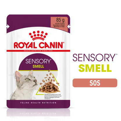 ROYAL CANIN FHN Sensory Smell în Sos Plic pentru pisici 85g