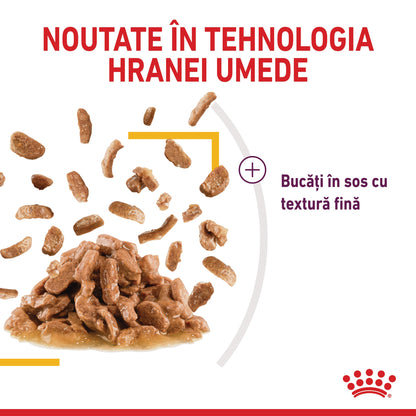 ROYAL CANIN FHN Sensory Taste în Sos Plic pentru pisici 85g