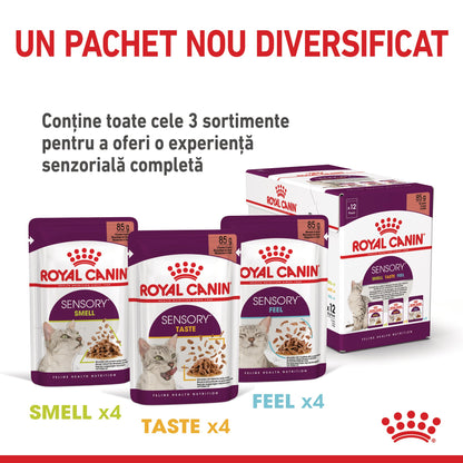 ROYAL CANIN FHN Sensory Taste în Sos Plic pentru pisici 85g