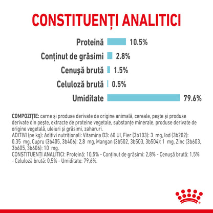 ROYAL CANIN FHN Sensory Feel în Sos Plic pentru pisici 85g