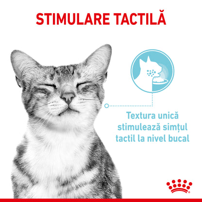ROYAL CANIN FHN Sensory Feel în Sos Plic pentru pisici 85g