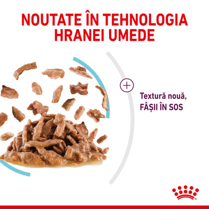 ROYAL CANIN FHN Sensory Feel în Sos Plic pentru pisici 85g