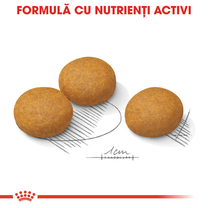 ROYAL CANIN CCN Maxi Dermacomfort 12 kg