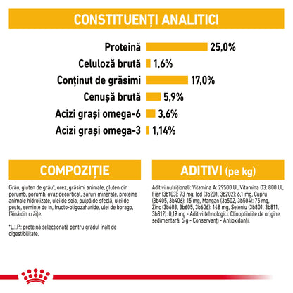 ROYAL CANIN CCN Maxi Dermacomfort 12 kg