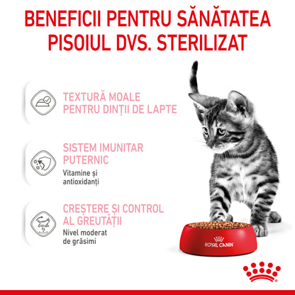 ROYAL CANIN FHN KITTEN Sterilised Plic în Sos pentru pisicuţe sterilizate 85g