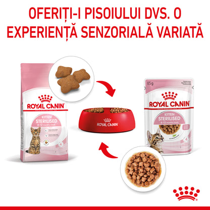 ROYAL CANIN FHN KITTEN Sterilised Plic în Sos pentru pisicuţe sterilizate 85g