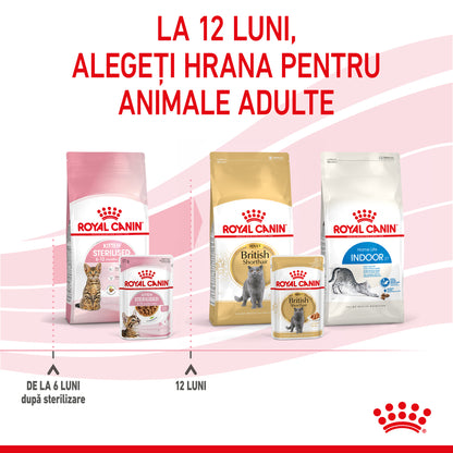 ROYAL CANIN FHN KITTEN Sterilised Plic în Sos pentru pisicuţe sterilizate 85g