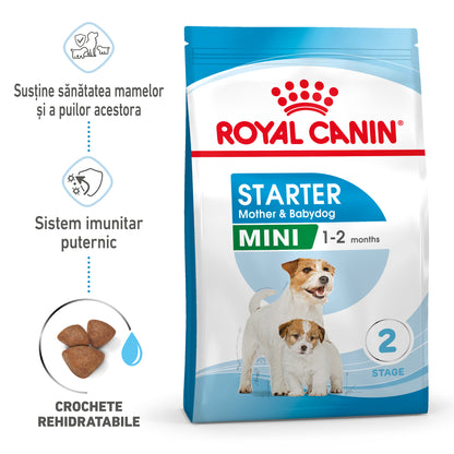 ROYAL CANIN SHN Mini Starter Mother & Babydog pt. femele gestante şi căţei