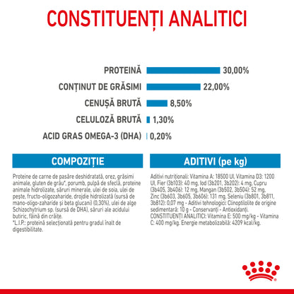 ROYAL CANIN SHN Mini Starter Mother & Babydog pt. femele gestante şi căţei