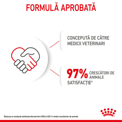 ROYAL CANIN SHN Mini Starter Mother & Babydog pt. femele gestante şi căţei
