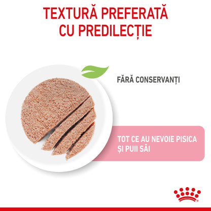 ROYAL CANIN FHN Mother & Babycat Conservă pentru pisicuţe 195g