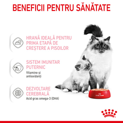 ROYAL CANIN FHN Mother & Babycat Conservă pentru pisicuţe 195g