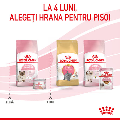 ROYAL CANIN FHN Mother & Babycat Conservă pentru pisicuţe 195g