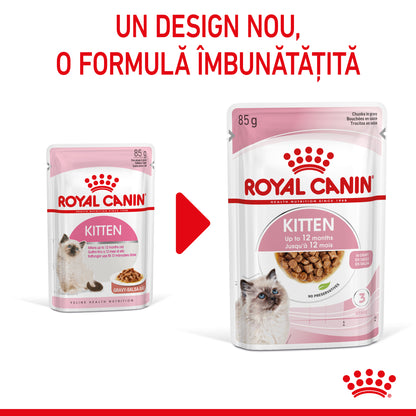 ROYAL CANIN FHN KITTEN Plic în Sos pentru pisicuţe