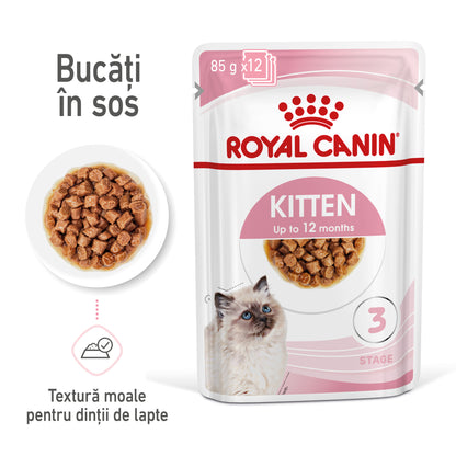 ROYAL CANIN FHN KITTEN Plic în Sos pentru pisicuţe