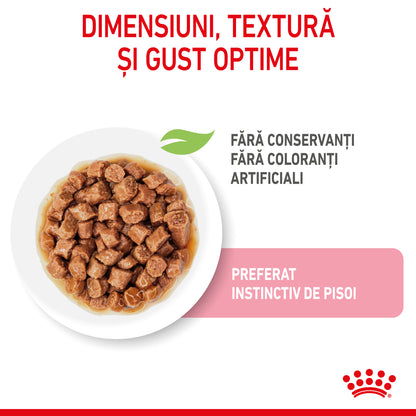 ROYAL CANIN FHN KITTEN Plic în Sos pentru pisicuţe