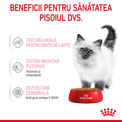 ROYAL CANIN FHN KITTEN Plic în Sos pentru pisicuţe