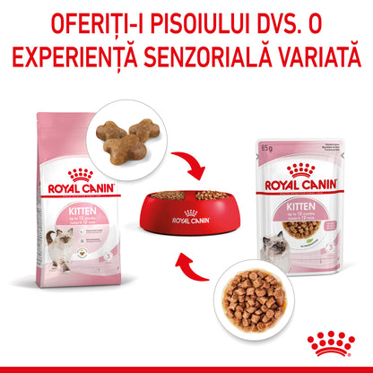 ROYAL CANIN FHN KITTEN Plic în Sos pentru pisicuţe
