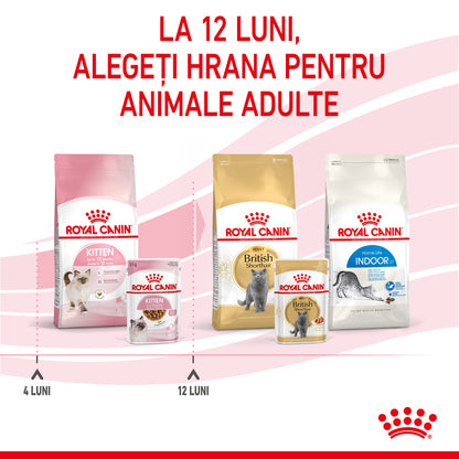 ROYAL CANIN FHN KITTEN Plic în Sos pentru pisicuţe
