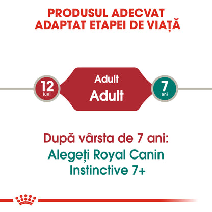 ROYAL CANIN FHN Instinctive Plic în Sos pentru pisici