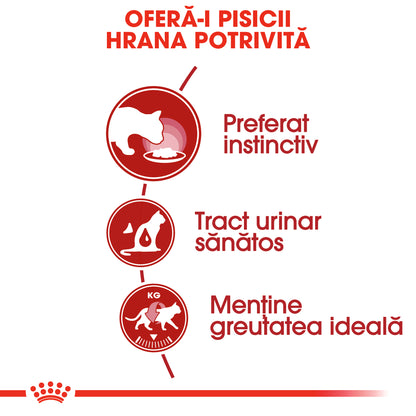 ROYAL CANIN FHN Instinctive Plic în Sos pentru pisici