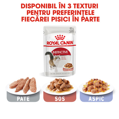 ROYAL CANIN FHN Instinctive Plic în Sos pentru pisici