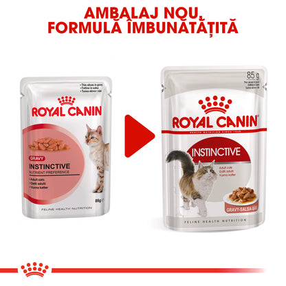 ROYAL CANIN FHN Instinctive Plic în Sos pentru pisici