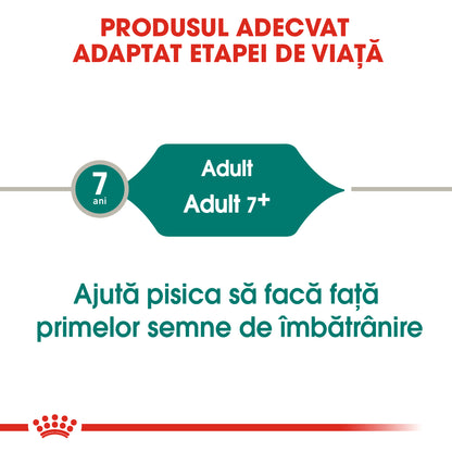 ROYAL CANIN FHN Instinctive +7 Plic pentru pisici SENIOARE 85g