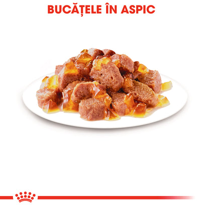 ROYAL CANIN FHN Instinctive Plic în Aspic pentru pisici 85g