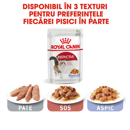 ROYAL CANIN FHN Instinctive Plic în Aspic pentru pisici 85g