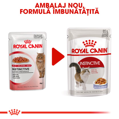 ROYAL CANIN FHN Instinctive Plic în Aspic pentru pisici 85g