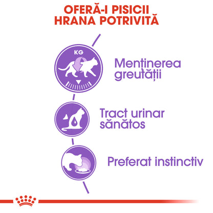 ROYAL CANIN FHN Sterilised Plic pentru pisici sterilizate 85g