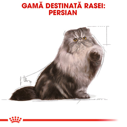ROYAL CANIN FHN Plic pentru pisici Persian 85g