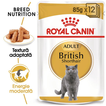 ROYAL CANIN FHN Plic pentru pisici British Shorthair 85g