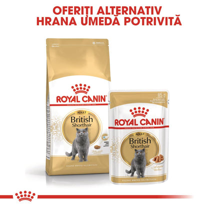 ROYAL CANIN FHN Plic pentru pisici British Shorthair 85g
