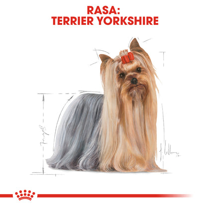 ROYAL CANIN BHN Plic hrană umedă pentru câini Yorkshire Terrier 85g