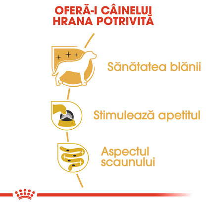 ROYAL CANIN BHN Plic hrană umedă pentru câini Yorkshire Terrier 85g